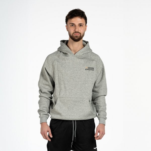 Hoodie Edition One grau L